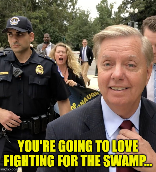 Lindsey Graham Thug Life | YOU'RE GOING TO LOVE FIGHTING FOR THE SWAMP... | image tagged in lindsey graham thug life | made w/ Imgflip meme maker