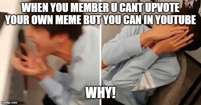 Imgflip better tho | WHEN YOU MEMBER U CANT UPVOTE YOUR OWN MEME BUT YOU CAN IN YOUTUBE; WHY! | image tagged in nooo,youtube,imgflip,funny,memes | made w/ Imgflip meme maker