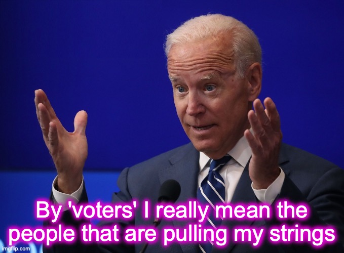 Joe Biden - Hands Up | By 'voters' I really mean the people that are pulling my strings | image tagged in joe biden - hands up | made w/ Imgflip meme maker