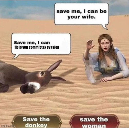 A donkey and a girl | Help you commit tax evasion | image tagged in a donkey and a girl | made w/ Imgflip meme maker