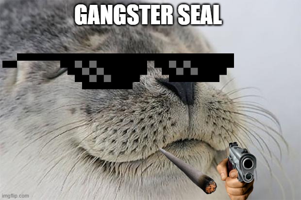 gangster seal | GANGSTER SEAL | image tagged in memes,satisfied seal | made w/ Imgflip meme maker