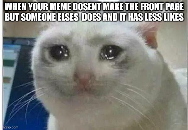 ;( | WHEN YOUR MEME DOSENT MAKE THE FRONT PAGE BUT SOMEONE ELSE  DOES AND IT HAS LESS LIKES | image tagged in crying cat | made w/ Imgflip meme maker