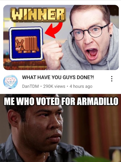 Uh oh...... | ME WHO VOTED FOR ARMADILLO | image tagged in minecraft,dantdm,youtube,memes,jordan peele sweating,gaming | made w/ Imgflip meme maker