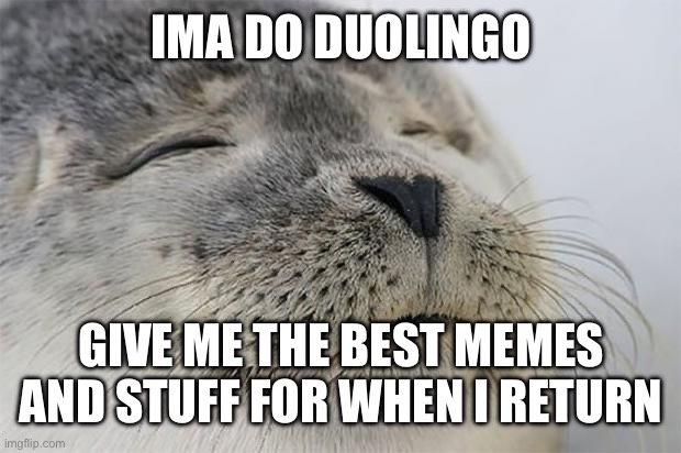 Satisfied Seal Meme | IMA DO DUOLINGO; GIVE ME THE BEST MEMES AND STUFF FOR WHEN I RETURN | image tagged in memes,satisfied seal | made w/ Imgflip meme maker