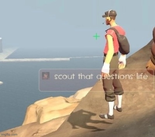 scout that questions life | image tagged in scout that questions life | made w/ Imgflip meme maker
