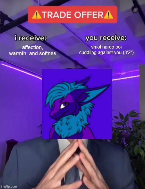 Trade Offer | smol nardo boi cuddling against you (3'2"); affection, warmth, and softnes | image tagged in trade offer | made w/ Imgflip meme maker