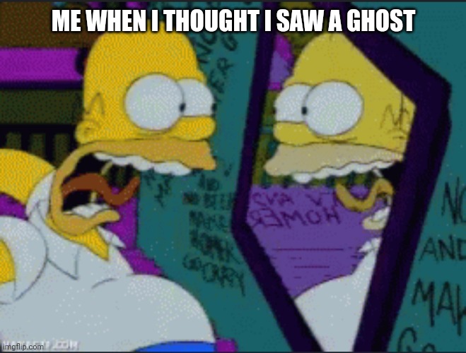 Homer Simpson seeing himself in mirror MEME | ME WHEN I THOUGHT I SAW A GHOST | image tagged in homer simpson,screaming,mirror,memes,be like | made w/ Imgflip meme maker