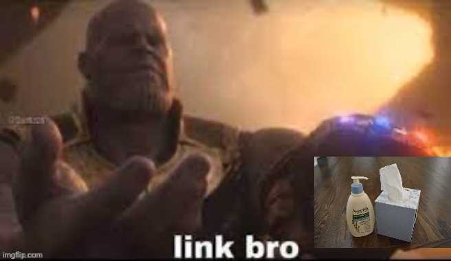 link bro | image tagged in link bro | made w/ Imgflip meme maker