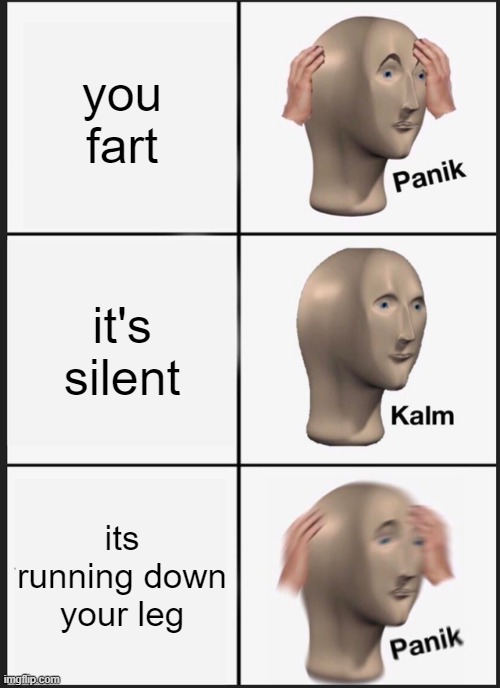 it's wet | you fart; it's silent; its running down your leg | image tagged in memes,panik kalm panik | made w/ Imgflip meme maker