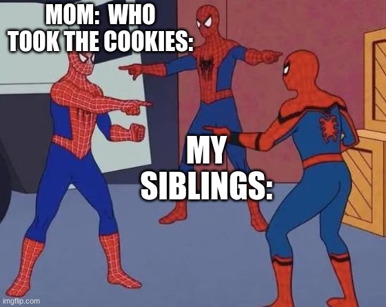 3 Spiderman Pointing | MOM:  WHO TOOK THE COOKIES:; MY SIBLINGS: | image tagged in 3 spiderman pointing | made w/ Imgflip meme maker