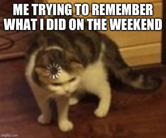 Bro right after a weekend and someone asks me how it went, I completely forget | ME TRYING TO REMEMBER WHAT I DID ON THE WEEKEND | image tagged in loading cat,weekend,cat | made w/ Imgflip meme maker