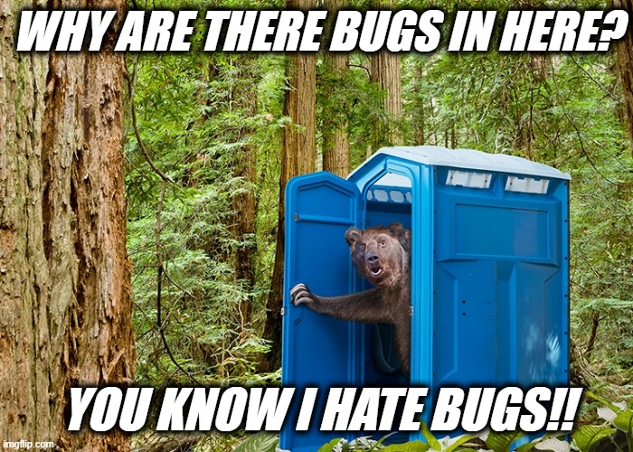 Outhouse Bear | WHY ARE THERE BUGS IN HERE? YOU KNOW I HATE BUGS!! | image tagged in outhouse bear | made w/ Imgflip meme maker