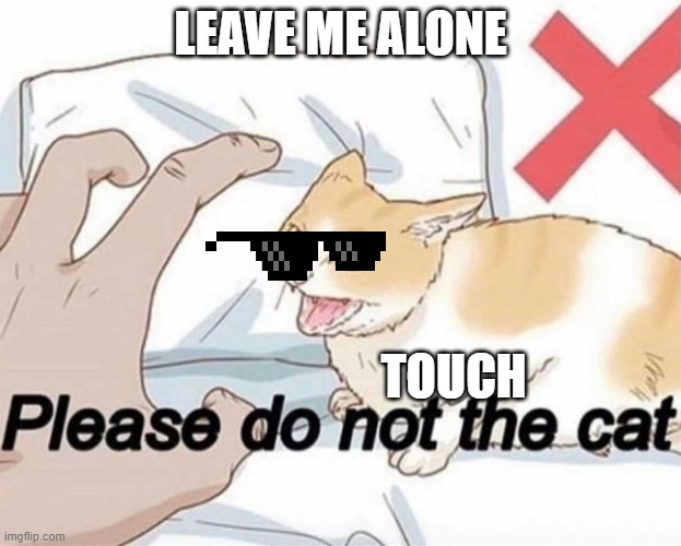 cool cat | LEAVE ME ALONE; TOUCH | image tagged in please do not the cat | made w/ Imgflip meme maker