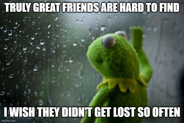 kermit window | TRULY GREAT FRIENDS ARE HARD TO FIND; I WISH THEY DIDN'T GET LOST SO OFTEN | image tagged in kermit window | made w/ Imgflip meme maker