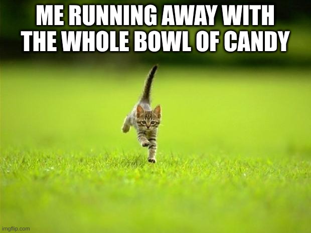 Running Cat | ME RUNNING AWAY WITH THE WHOLE BOWL OF CANDY | image tagged in running cat | made w/ Imgflip meme maker
