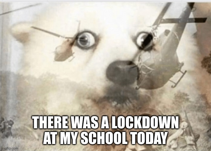 Some awesome title that I dont have the brain cells to create | THERE WAS A LOCKDOWN AT MY SCHOOL TODAY | image tagged in ptsd dog | made w/ Imgflip meme maker
