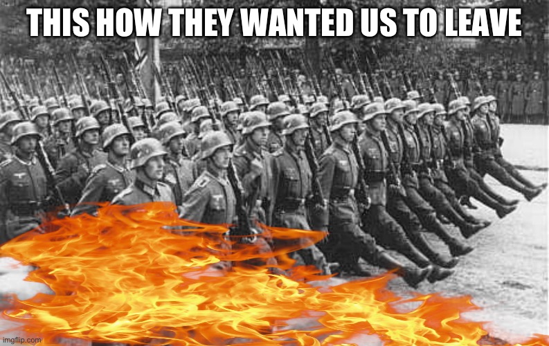 German Soldiers Marching | THIS HOW THEY WANTED US TO LEAVE | image tagged in german soldiers marching | made w/ Imgflip meme maker