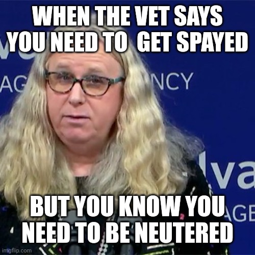 Rachel Levine | WHEN THE VET SAYS YOU NEED TO  GET SPAYED BUT YOU KNOW YOU NEED TO BE NEUTERED | image tagged in rachel levine | made w/ Imgflip meme maker