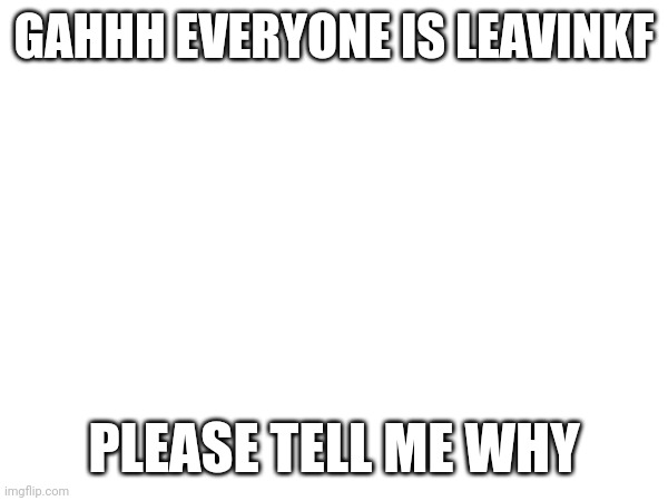 Lol I just saw everyone panicking and leaving | GAHHH EVERYONE IS LEAVINKF; PLEASE TELL ME WHY | image tagged in fun | made w/ Imgflip meme maker