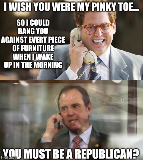 SO I COULD BANG YOU AGAINST EVERY PIECE OF FURNITURE WHEN I WAKE UP IN THE MORNING; I WISH YOU WERE MY PINKY TOE…; YOU MUST BE A REPUBLICAN? | image tagged in wolf of wallstreet,adam schiff,maga,republicans,donald trump | made w/ Imgflip meme maker