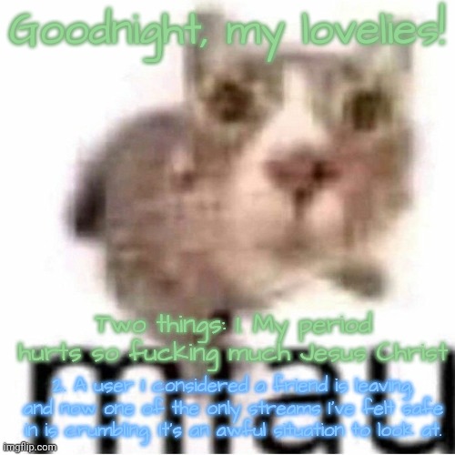 miau | Goodnight, my lovelies! Two things: 1. My period hurts so fucking much Jesus Christ; 2. A user I considered a friend is leaving, and now one of the only streams I've felt safe in is crumbling. It's an awful situation to look at. | image tagged in miau | made w/ Imgflip meme maker