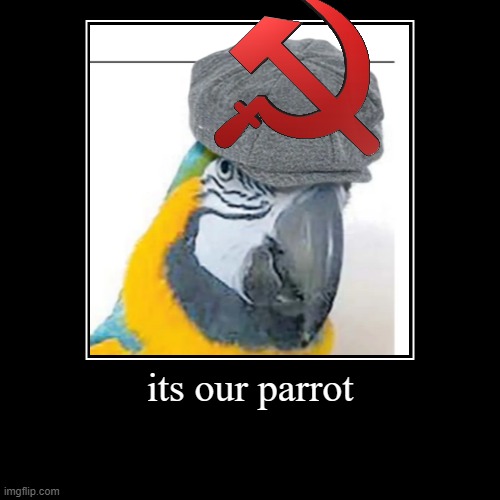 its our parrot | | image tagged in funny,demotivationals | made w/ Imgflip demotivational maker