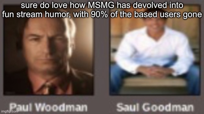 paul vs saul | sure do love how MSMG has devolved into fun stream humor, with 90% of the based users gone | image tagged in paul vs saul | made w/ Imgflip meme maker