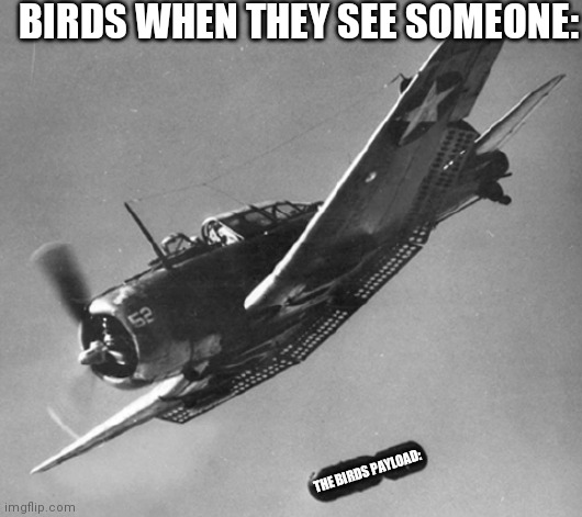 dive bomber | BIRDS WHEN THEY SEE SOMEONE:; THE BIRDS PAYLOAD: | image tagged in dive bomber | made w/ Imgflip meme maker