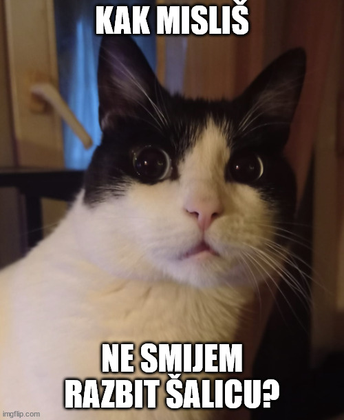 Kiki the Cup Destroyer | KAK MISLIŠ; NE SMIJEM RAZBIT ŠALICU? | image tagged in cat,funny cat memes,cute cat | made w/ Imgflip meme maker