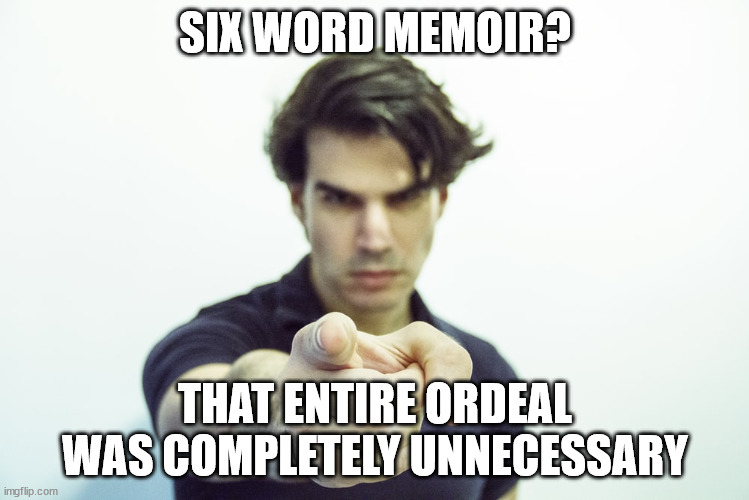 Six word memoir | SIX WORD MEMOIR? THAT ENTIRE ORDEAL WAS COMPLETELY UNNECESSARY | image tagged in six word memoir | made w/ Imgflip meme maker
