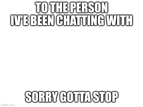 ok? | TO THE PERSON IV'E BEEN CHATTING WITH; SORRY GOTTA STOP | image tagged in blank white template | made w/ Imgflip meme maker