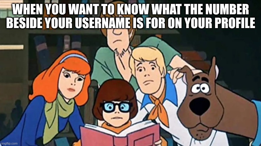 Scooby Doo | WHEN YOU WANT TO KNOW WHAT THE NUMBER BESIDE YOUR USERNAME IS FOR ON YOUR PROFILE | image tagged in scooby doo | made w/ Imgflip meme maker