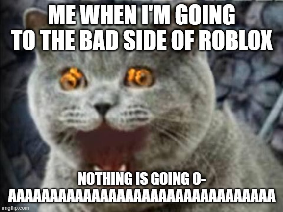 lolcat | ME WHEN I'M GOING TO THE BAD SIDE OF ROBLOX; NOTHING IS GOING O- AAAAAAAAAAAAAAAAAAAAAAAAAAAAAAAA | image tagged in lolcat | made w/ Imgflip meme maker