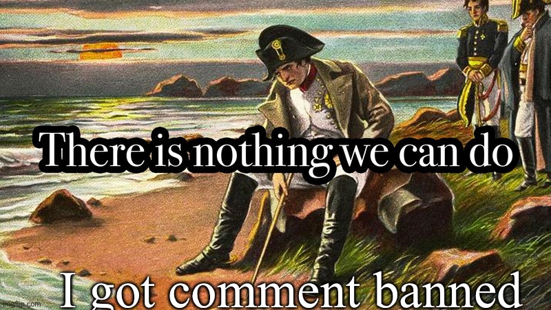 There is nothing we can do | I got comment banned | image tagged in there is nothing we can do | made w/ Imgflip meme maker