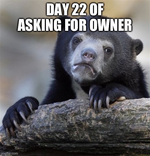 Confession Bear | DAY 22 OF ASKING FOR OWNER | image tagged in memes,confession bear | made w/ Imgflip meme maker