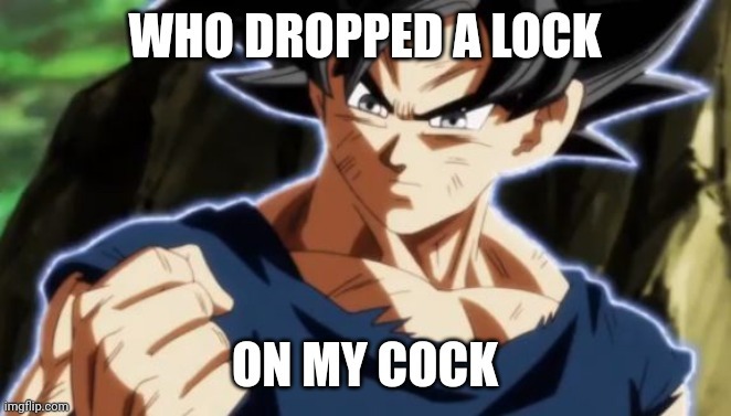 Who dropped a lock on my cock | image tagged in who dropped a lock on my cock | made w/ Imgflip meme maker