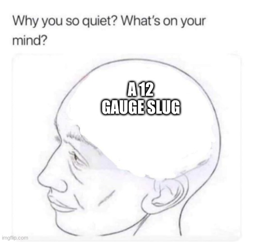 What's on your mind? | A 12 GAUGE SLUG | image tagged in what's on your mind | made w/ Imgflip meme maker