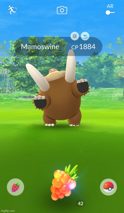 Wild Mamoswine | made w/ Imgflip meme maker