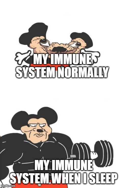 Buff Mickey Mouse | MY IMMUNE SYSTEM NORMALLY; MY IMMUNE SYSTEM WHEN I SLEEP | image tagged in buff mickey mouse | made w/ Imgflip meme maker