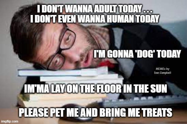 Very Tired Person | I DON'T WANNA ADULT TODAY . . .
I DON'T EVEN WANNA HUMAN TODAY; I'M GONNA 'DOG' TODAY; MEMEs by Dan Campbell; IM'MA LAY ON THE FLOOR IN THE SUN; PLEASE PET ME AND BRING ME TREATS | image tagged in very tired person | made w/ Imgflip meme maker