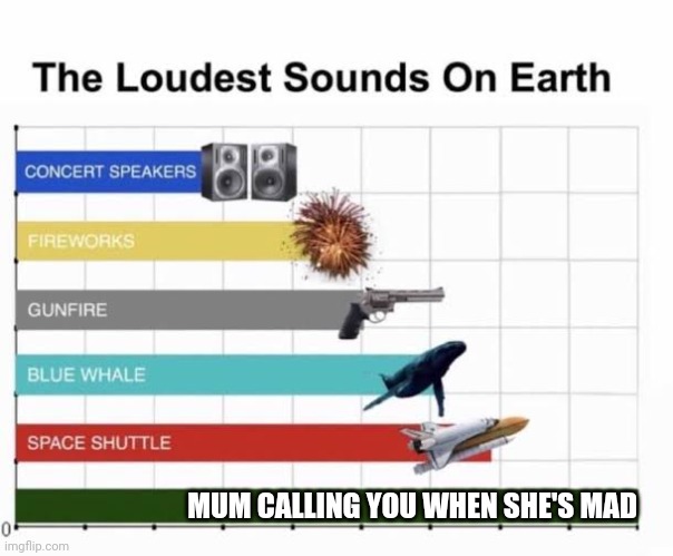Real | MUM CALLING YOU WHEN SHE'S MAD | image tagged in the loudest sounds on earth | made w/ Imgflip meme maker