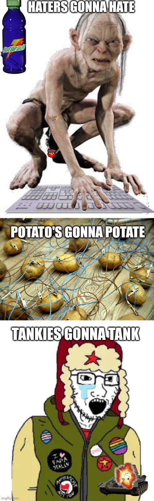 HATERS GONNA HATE; POTATO'S GONNA POTATE; TANKIES GONNA TANK | image tagged in gollum hater troll,potato servers,leftist wojak,NAFO | made w/ Imgflip meme maker