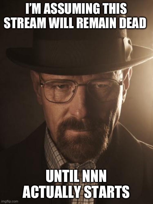 Walter White | I’M ASSUMING THIS STREAM WILL REMAIN DEAD; UNTIL NNN ACTUALLY STARTS | image tagged in walter white | made w/ Imgflip meme maker