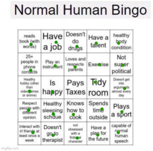 24 out of 25 | image tagged in normal human bingo | made w/ Imgflip meme maker