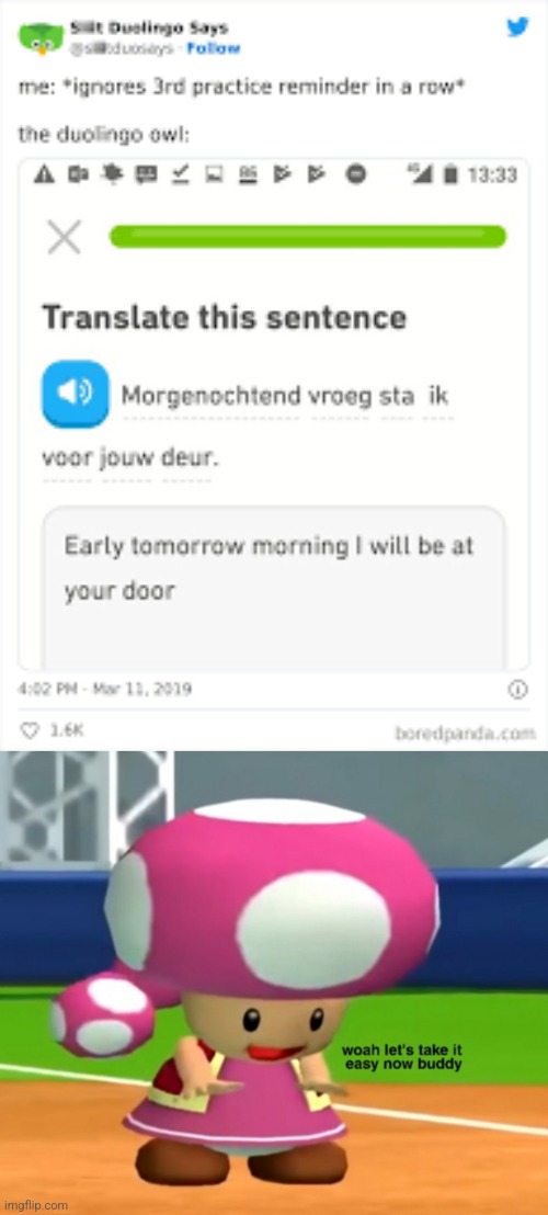 image tagged in toadette calm down,duolingo | made w/ Imgflip meme maker