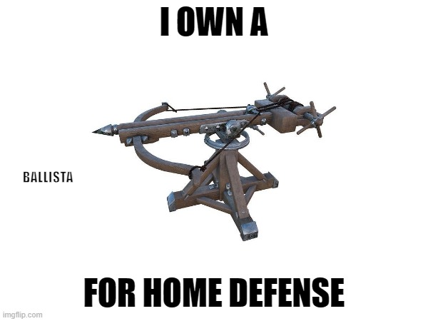 tower defense game ahhh | I OWN A; BALLISTA; FOR HOME DEFENSE | image tagged in ballista,crossbow,bow and arrow,weapon | made w/ Imgflip meme maker