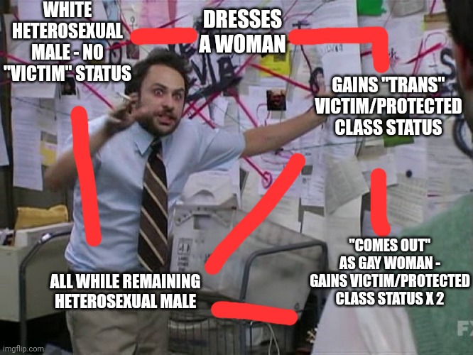 Charlie Red Yarn | WHITE HETEROSEXUAL MALE - NO "VICTIM" STATUS DRESSES A WOMAN GAINS "TRANS" VICTIM/PROTECTED CLASS STATUS "COMES OUT" AS GAY WOMAN - GAINS VI | image tagged in charlie red yarn | made w/ Imgflip meme maker