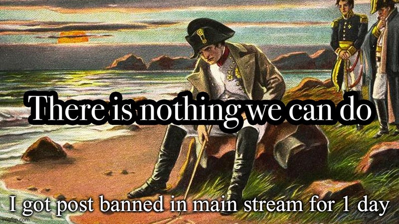 There is nothing we can do | I got post banned in main stream for 1 day | image tagged in there is nothing we can do | made w/ Imgflip meme maker