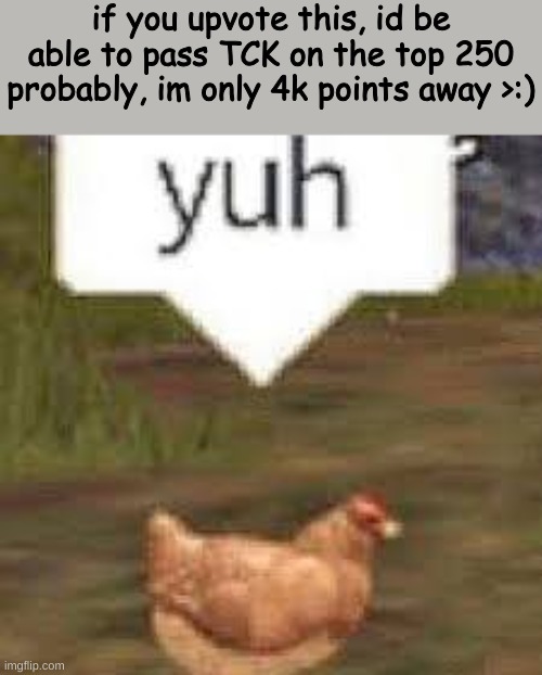 upvote if you dont like TCK, but you dont have to :) | if you upvote this, id be able to pass TCK on the top 250 probably, im only 4k points away >:) | image tagged in yuh,not a meme,tck | made w/ Imgflip meme maker