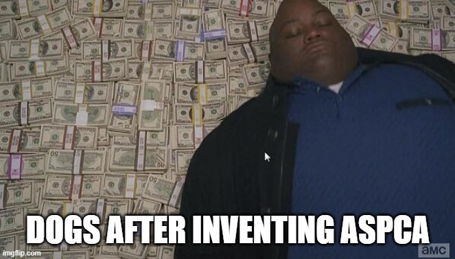 fr | DOGS AFTER INVENTING ASPCA | image tagged in fat rich man laying down on money,dogs,aspca,memes,croissant0 | made w/ Imgflip meme maker